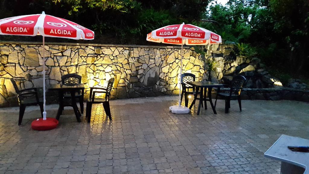 Lasha Guest House Machindżauri Pokój zdjęcie
